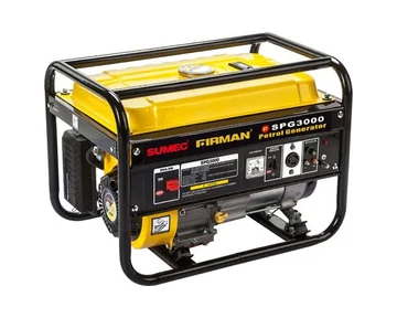 A petrol generator